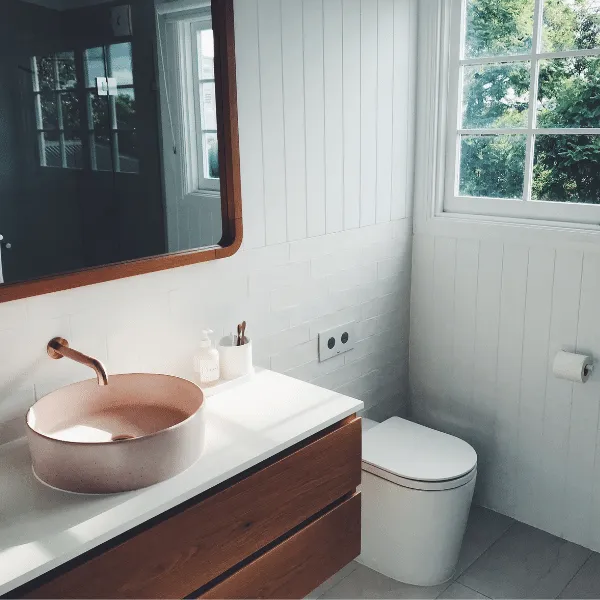 bathroom cleaning