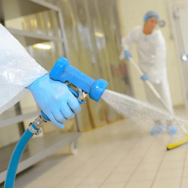 sanificazione professionale lanciano