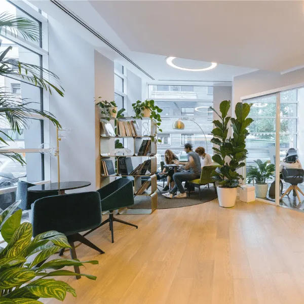 office cleaning